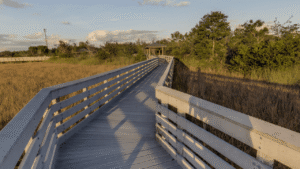 Chapel Trail Nature Preserve Pembroke Pines, FL