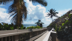 Red Reef Park Boca Raton, FL