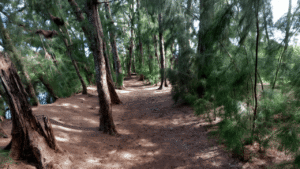 Wolf Lake Park Davie, FL